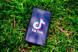 Solusi Praktis: Cara Terbaik Mendapatkan Video TikTok dengan ttsave.app
